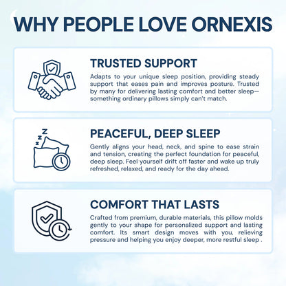 ERGONOMIC RELIEF PILLOW